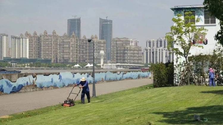 168体育 168体育官网高温天绿化工人用汗水描绘东岸滨江绿色画卷(图3)
