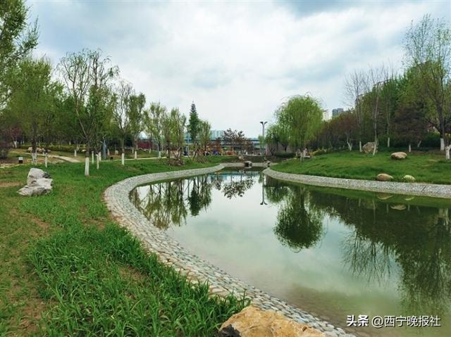 168体育 168体育官网开放啦！我市新添一处城市会客厅(图1)