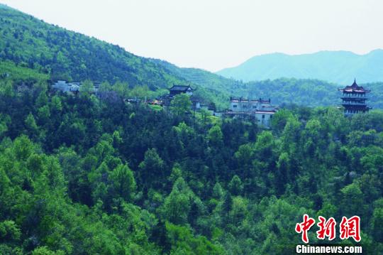 168体育 168体育官网安徽巢湖林业“愚公”：自研14款软件 绿化5万亩荒山(图3)