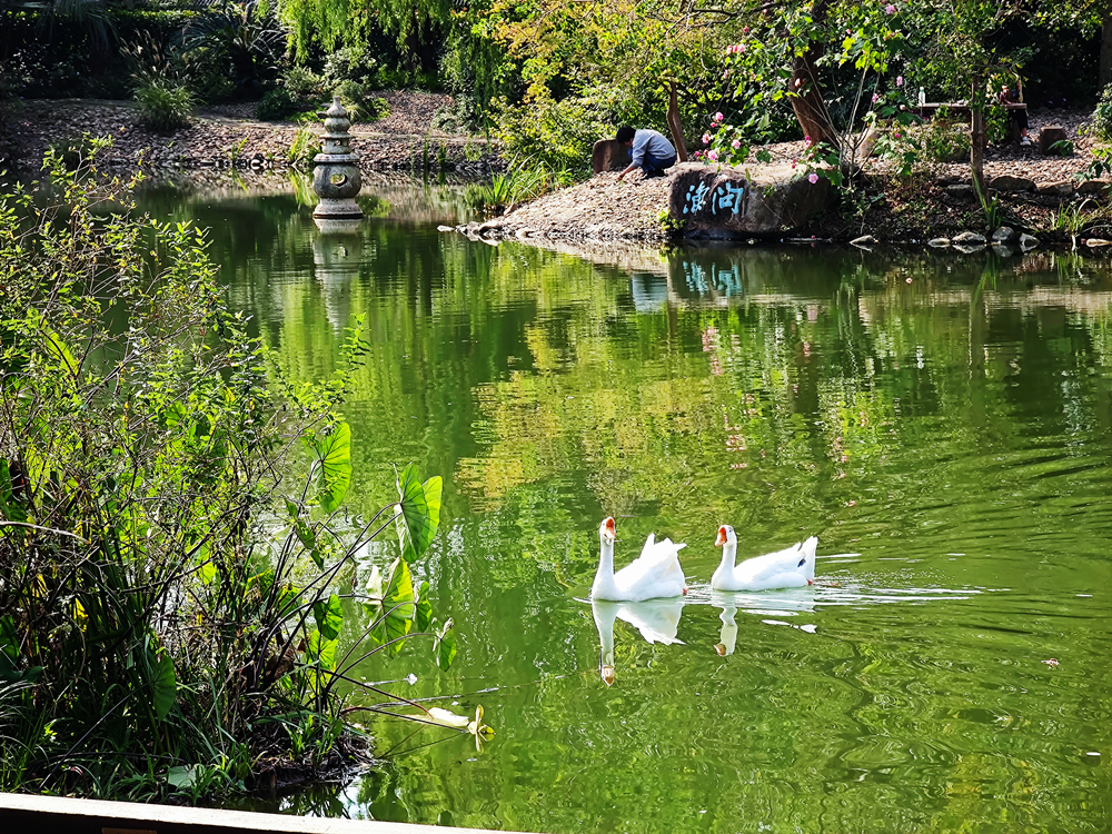 景观花钱、赚钱168体育 168体育官网！(图18)