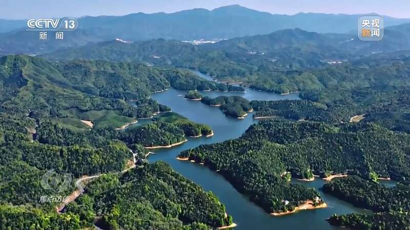 168体育 168体育官网全民植树增绿 共建美丽中国(图2)