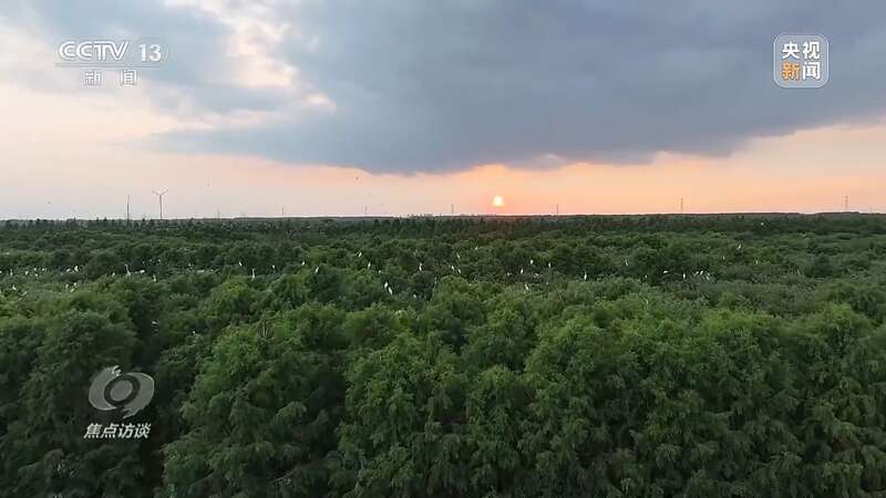 168体育 168体育官网全民植树增绿 共建美丽中国(图11)