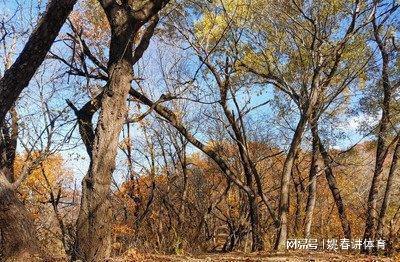 吉林市十大春季旅游景点168体育 168体育官网(图6)