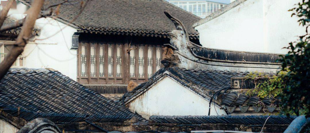 168体育 168体育官网不去苏州枉此生！本文带你“云逛”苏州最美的十座园林(图5)