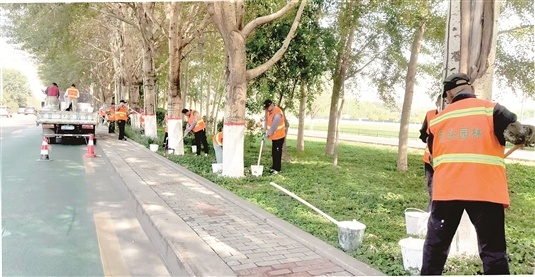 168体育 168体育官网绿化美化为城市颜值加分(图1)