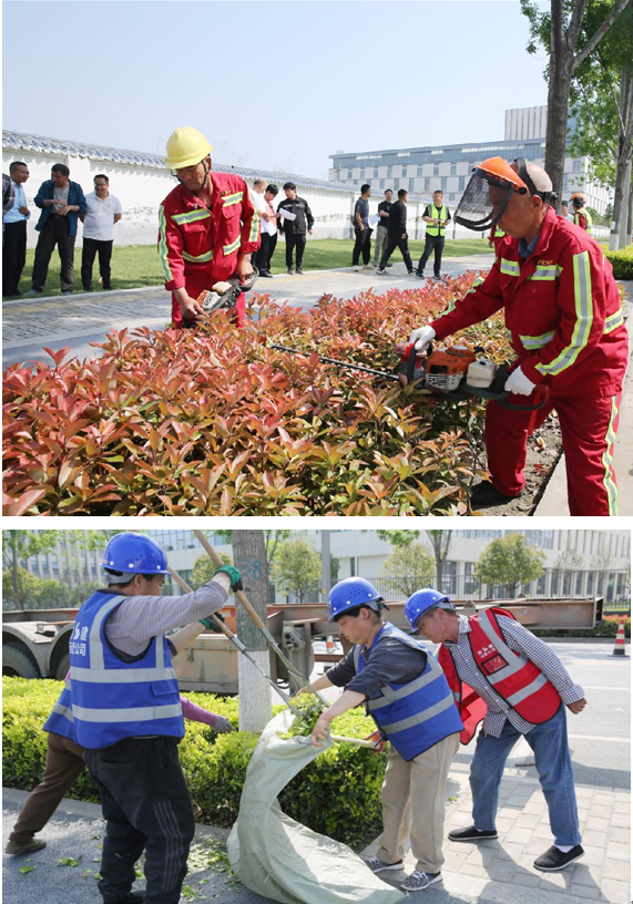 168体育 168体育官网西安浐灞国际港基层技能练兵-园林绿化领域绿篱修剪技能比武大赛成功举办(图3)
