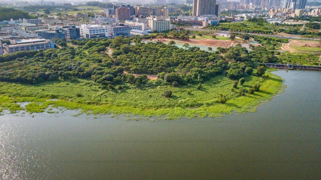 3个城市公园设计案168体育 168体育官网例分享：小小城市公园大大能量(图36)