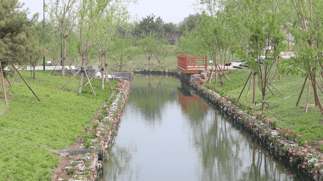圆明园扇面湖再现历史风貌！扇湖曲溪彩林花海西山入画……168体育 168体育官网(图10)